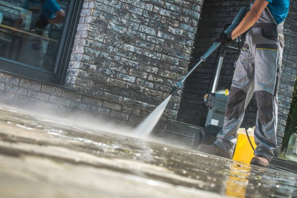 Best Rust Removal  in Wesley Chapel, FL