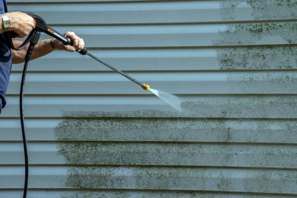 Best Roof Washing  in Wesley Chapel, FL
