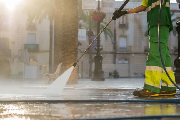 Best Gutter Cleaning  in Wesley Chapel, FL